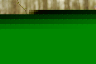   "-2019"       